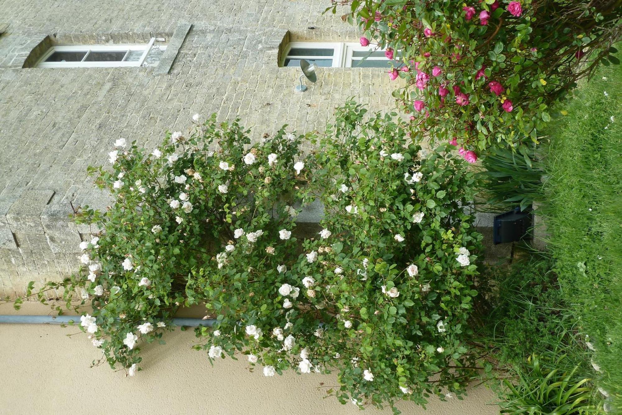B&B L'Atelier Du Presbytere Saint-Maugan Eksteriør billede